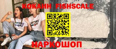 винт Партизанск