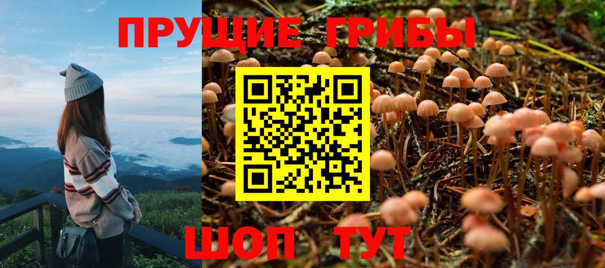 Мефедрон кристаллы  Экстази  Вход с VPN  Сальск  MDMA  Каннабис  COCAIN  ГАШ 