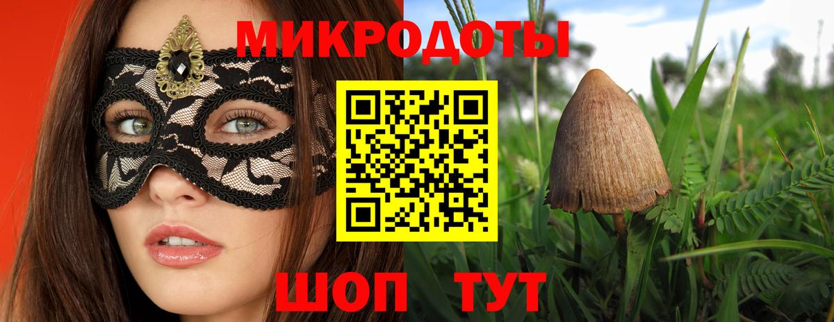 Сальск  Псилоцибиновые грибы прущие грибы  Вход с VPN  Галлюциногенные грибы GOLDEN TEACHER 